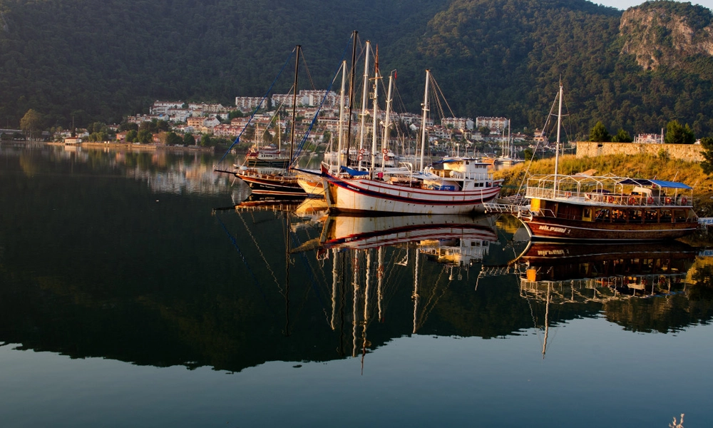Söğütlü